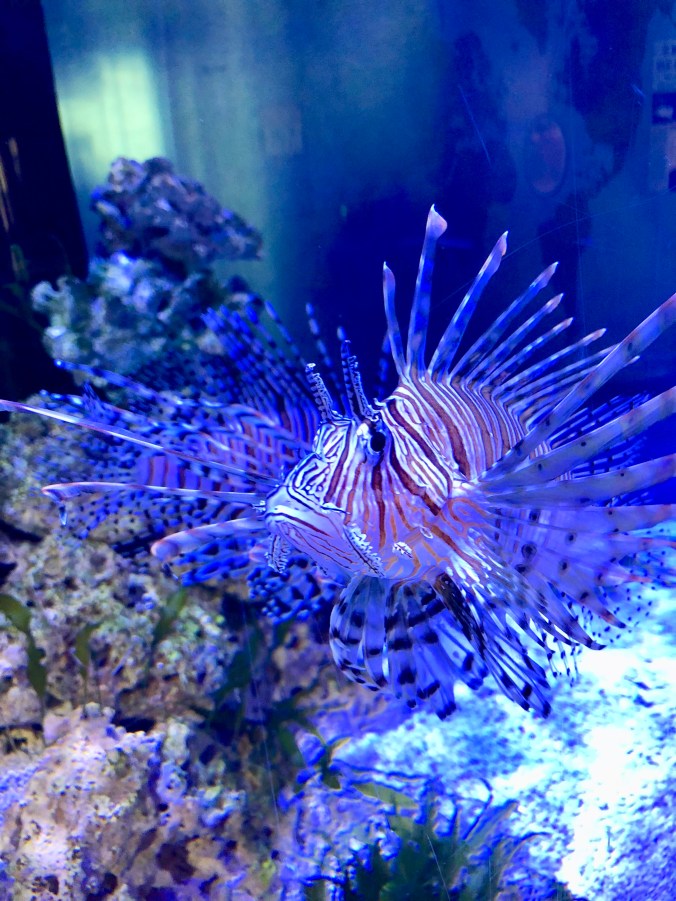 119FFD56-85E7-468B-B368-EB9DB18A03F0