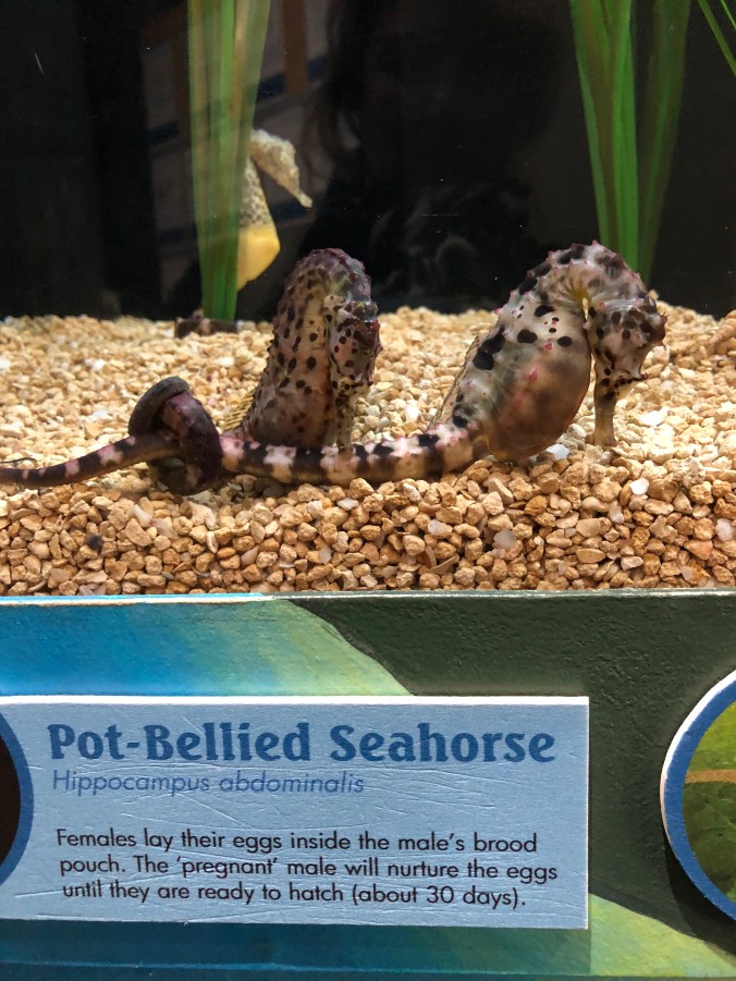 A8F27AEE-E24D-4BB1-9775-50CC3FB7C22D