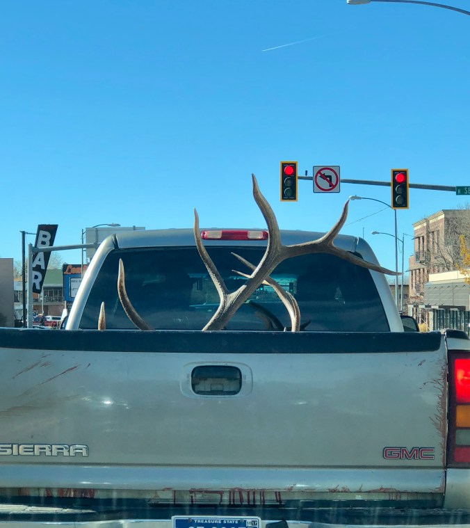 CED0F521-6716-434C-92C4-F4DBB8677125