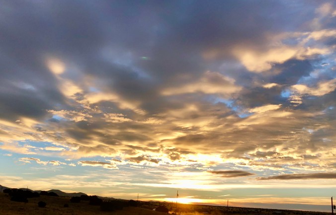 50988350-071F-401D-8E90-A3F7943AB27D