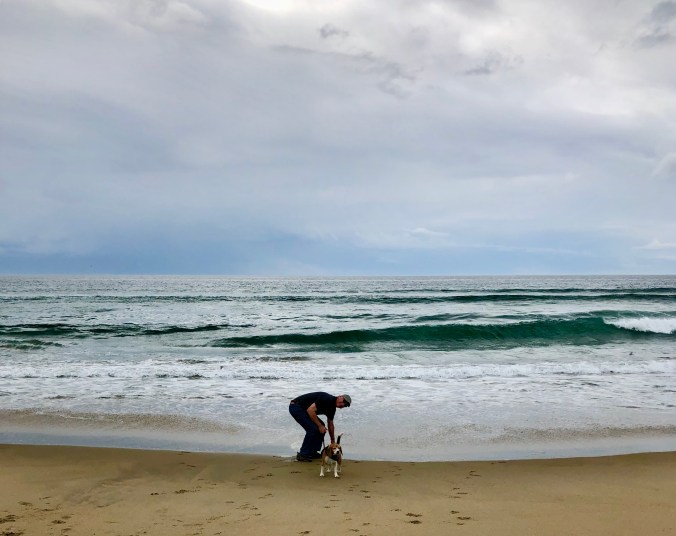 C93D5206-D0E8-4361-A556-C8D38417D3A8