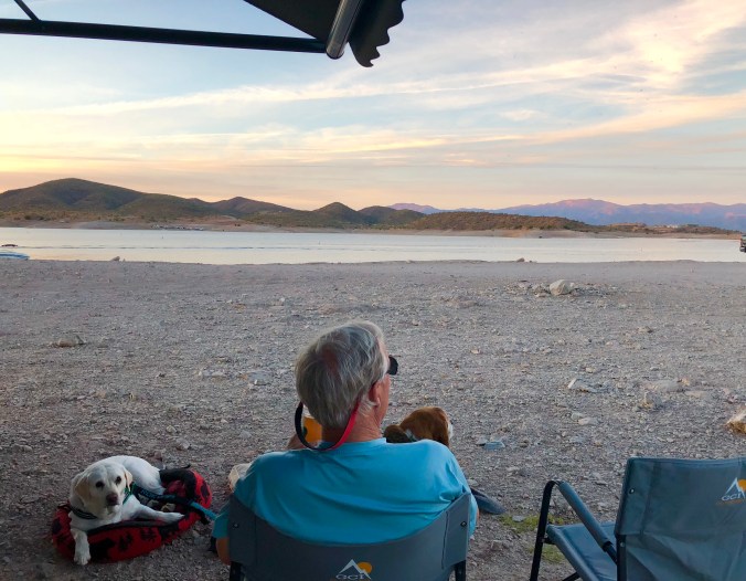 D12C63CE-E4E1-414C-BD34-0AEB8F44EAE8