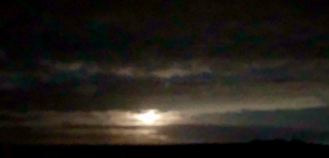 D9926F83-4594-4012-9C28-7EEDE12D0ACA