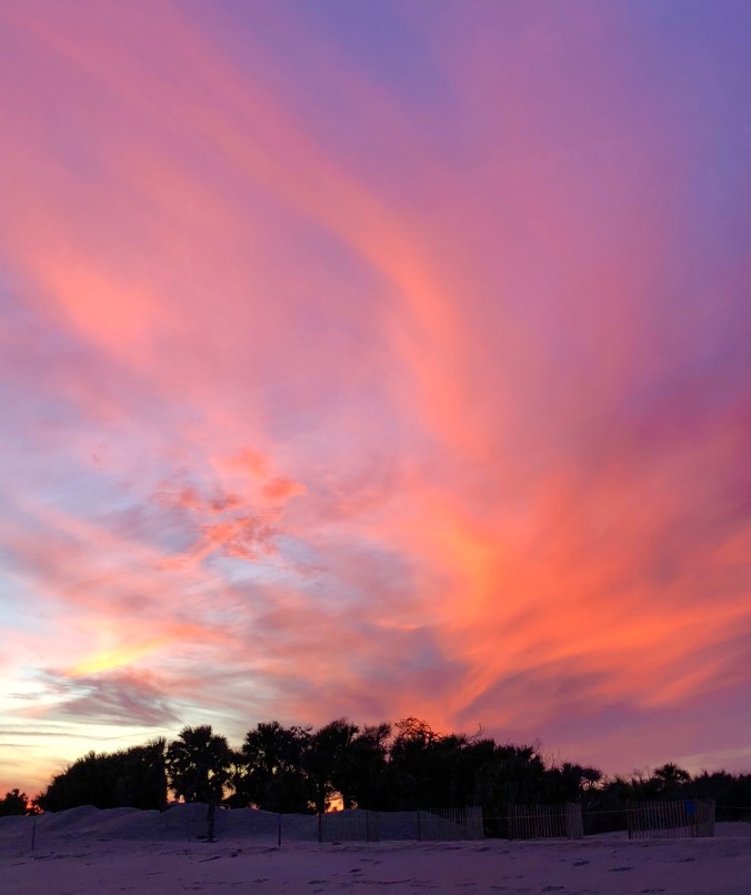 16937526-A68D-459A-B23F-65E245EB1DB2