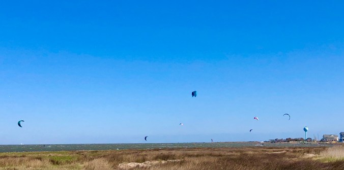 57C272B9-F974-4D37-9927-6B957C1003C3